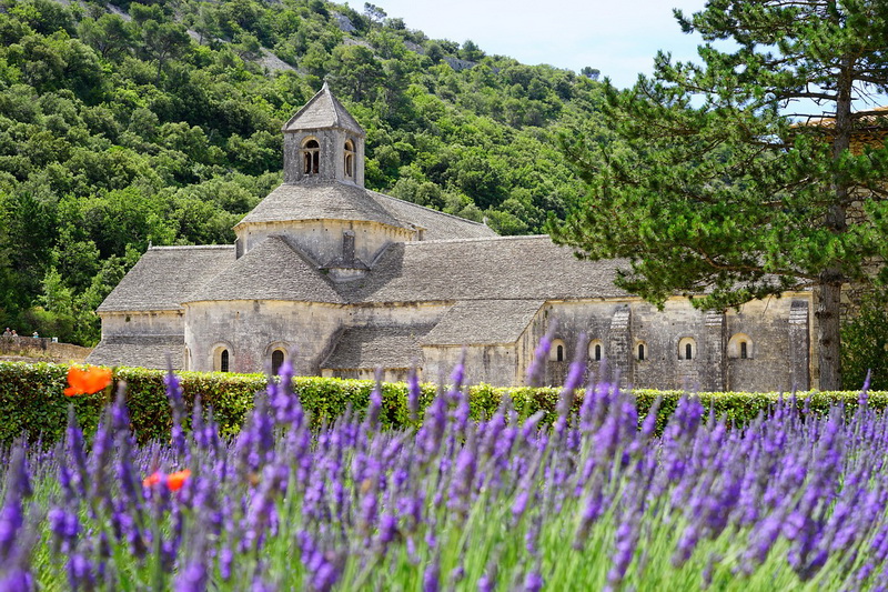 Lubéron
